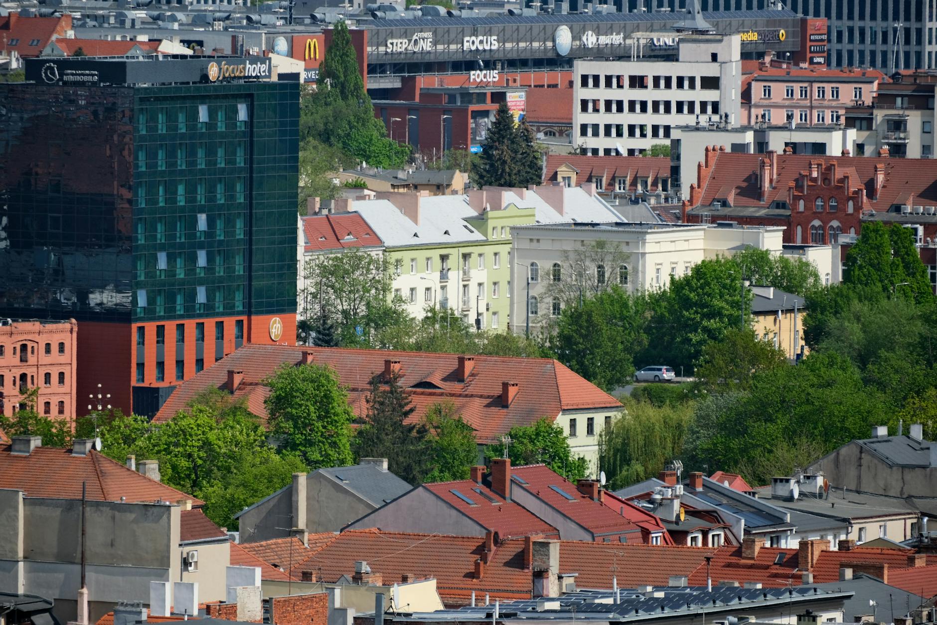 Znak drogowy informujący o ochronie płazów na drodze w Katowicach